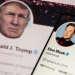 Trump ‘Not Interested’ in Call with Musk Donald Trump and Elon Musk Twitter profiles displayed.