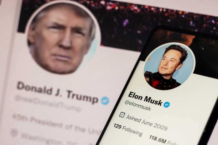 shutterstock_2320406293.jpg featured image Donald Trump and Elon Musk Twitter profiles displayed.