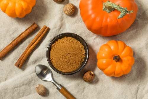 shutterstock_2521978875.jpg A bowl of pumpkin spice surrounded by pumpkins and cinnamon sticks
