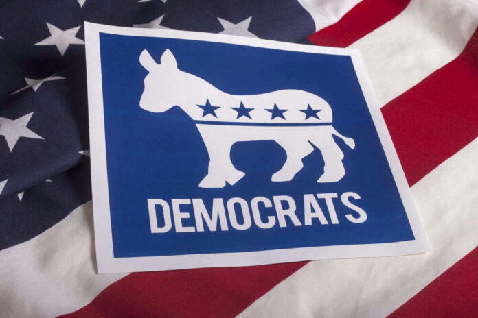 Democratic Party donkey logo on American flag background.