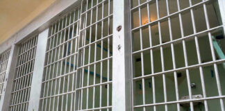 Empty prison cell with metal bars and toilet.
