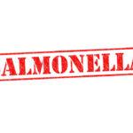 RECALL ALERT: Salmonella Outbreak Slams 21 States Red stamp with the word 'SALMONELLA' indicating a health warning
