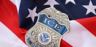 ICE officer badge resting on an American flag