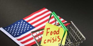 A small shopping basket with a sticky note reading 'Food crisis' next to an American flag
