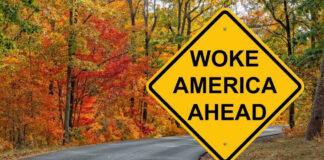 Yellow road sign: Woke America Ahead in autumn forest.