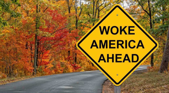 Yellow road sign: Woke America Ahead in autumn forest.