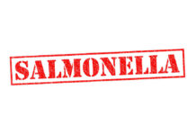 Recall — Salmonella Found in Premium Bars Red stamp with the word 'SALMONELLA' indicating a health warning