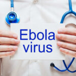 Rare Ebola Strain Sparks Global Alarm