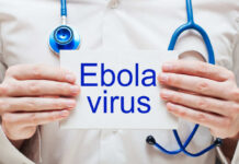 Rare Ebola Strain Sparks Global Alarm