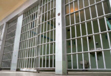 Cruise Cabin Horror: Judge Slams Cell Door Empty prison cell with metal bars and toilet.