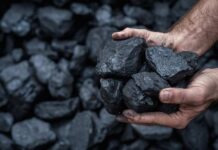 Trump Drops $700M Coal Bombshell on Enviros Hands holding several pieces of black coal against a background of more coal