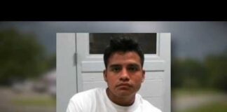 Louisa County toddler dead; man charged with murder, sexual assault