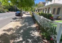 Pelosi Hit-And-Run Firestorm Erupts Paul Pelosi faces charges after hitting parked car, driving away