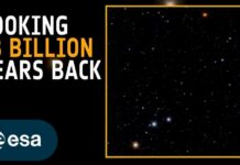 Euclid discovers the most ancient quasars in the Universe
