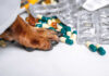 A prescription pad with a stethoscope and pills nearby