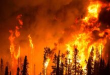 TRAGEDY: Fire Trap Kills Fourth Hero