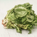 Deadly Lettuce Sparks HUGE Nationwide CHANGE