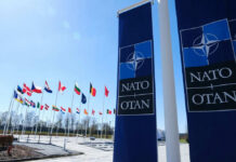 Ballistic Killers In Short Supply? NATO flags flying under clear blue sky