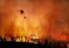 Tourist Paradise Under Blazing Attack? Helicopter fighting massive forest fire with water bucket.