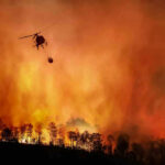 Helicopter fighting massive forest fire with water bucket.