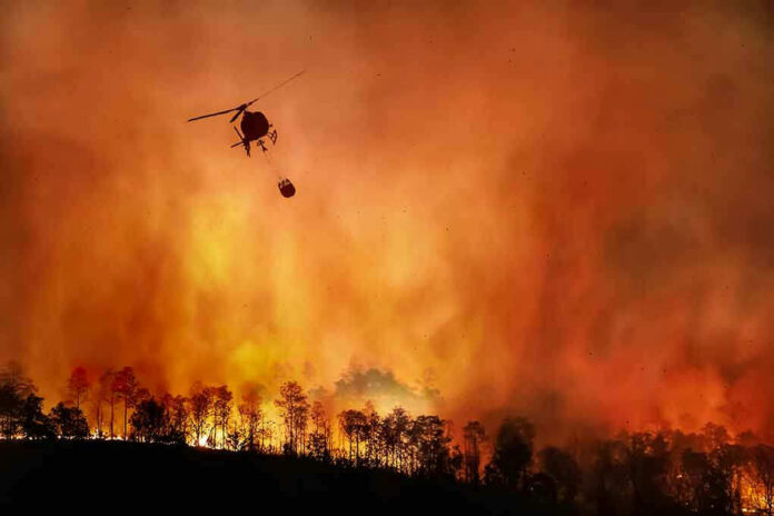 1810018291 Helicopter fighting massive forest fire with water bucket.