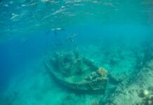 An underwater scene featuring a shipwreck surrounded by fish and coral