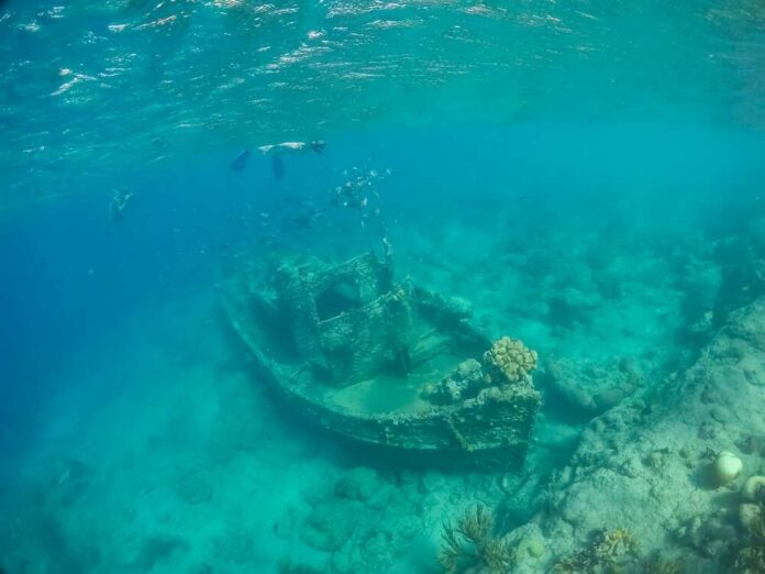 An underwater scene featuring a shipwreck surrounded by fish and coral