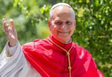 Pope’s Surprise Health Bombshell Catholic cardinal smiling and waving outdoors