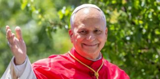 Catholic cardinal smiling and waving outdoors